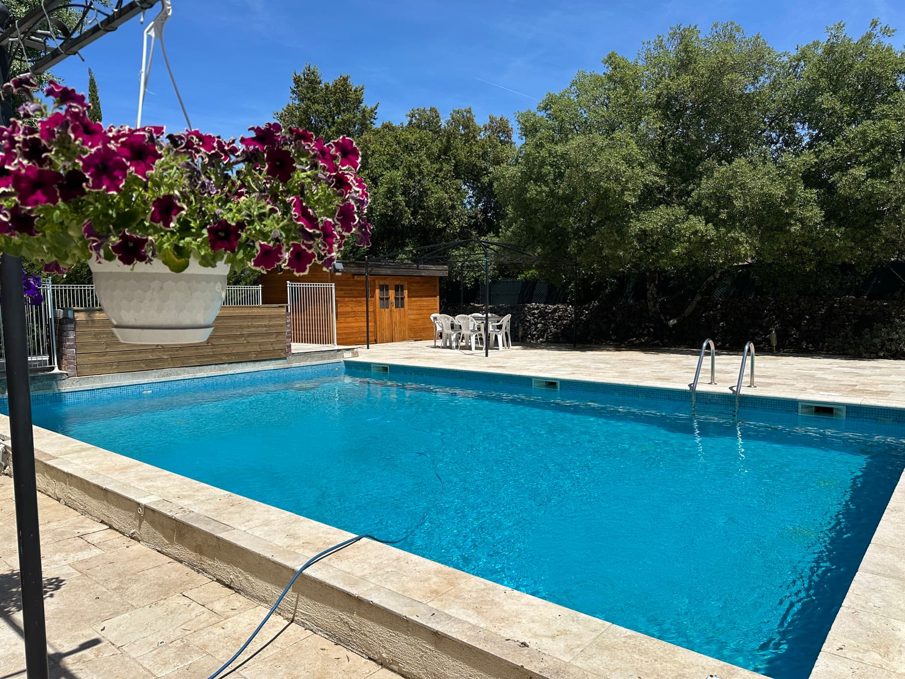 Piscine et jardin planté d'oliviers